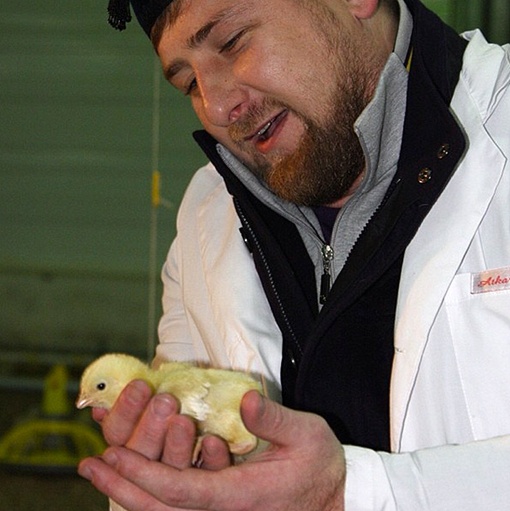 Рамзан Кадыров с цыпленком. Фото: alihan 777