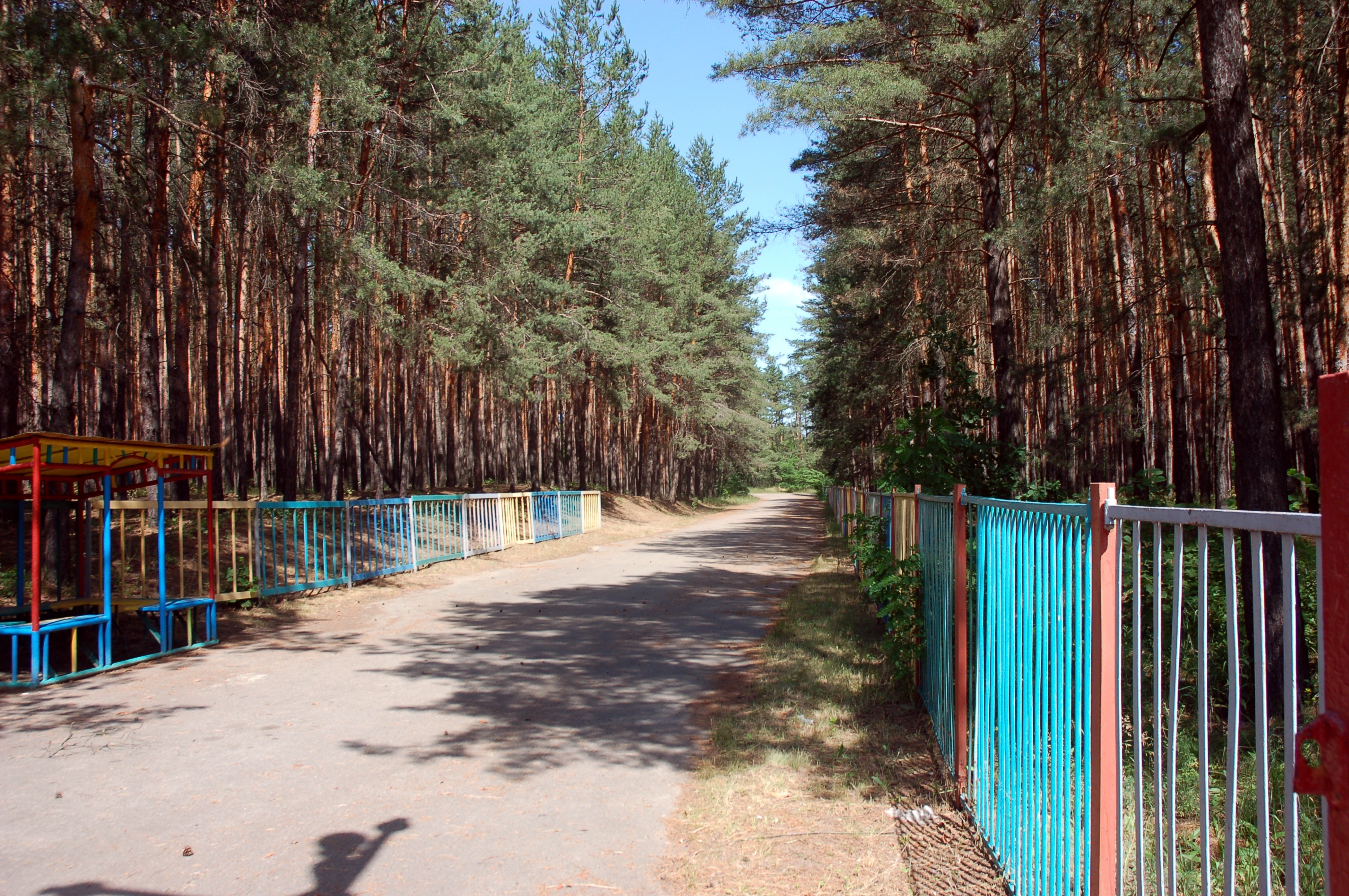 Лагерь, в котором поселили жителей Славянска, находится в сосновом лесу