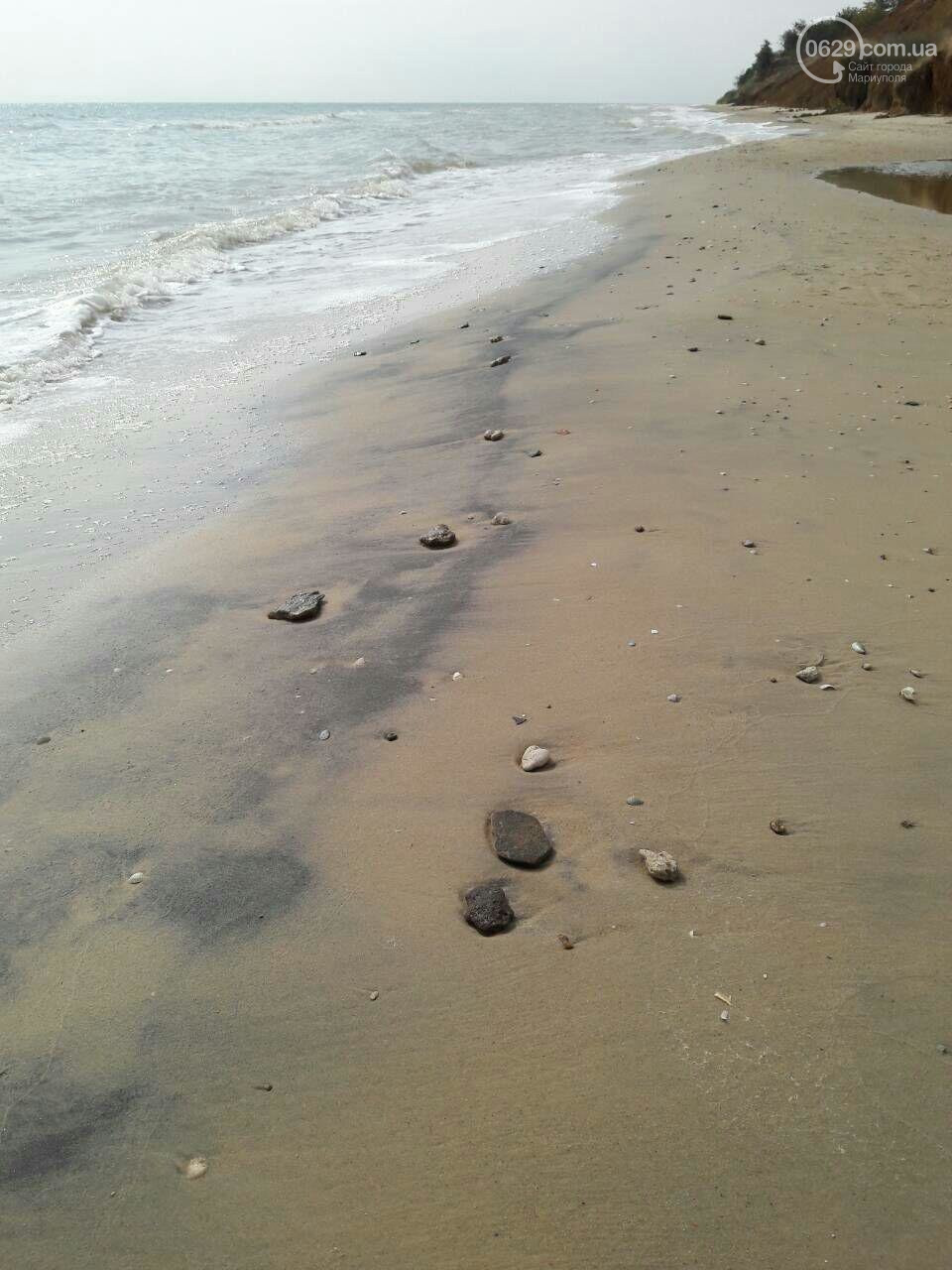 Камка Азовское море. Азовское море мелкое. Остров Ляпина в Азовском море. Морской орех в Азовском море.