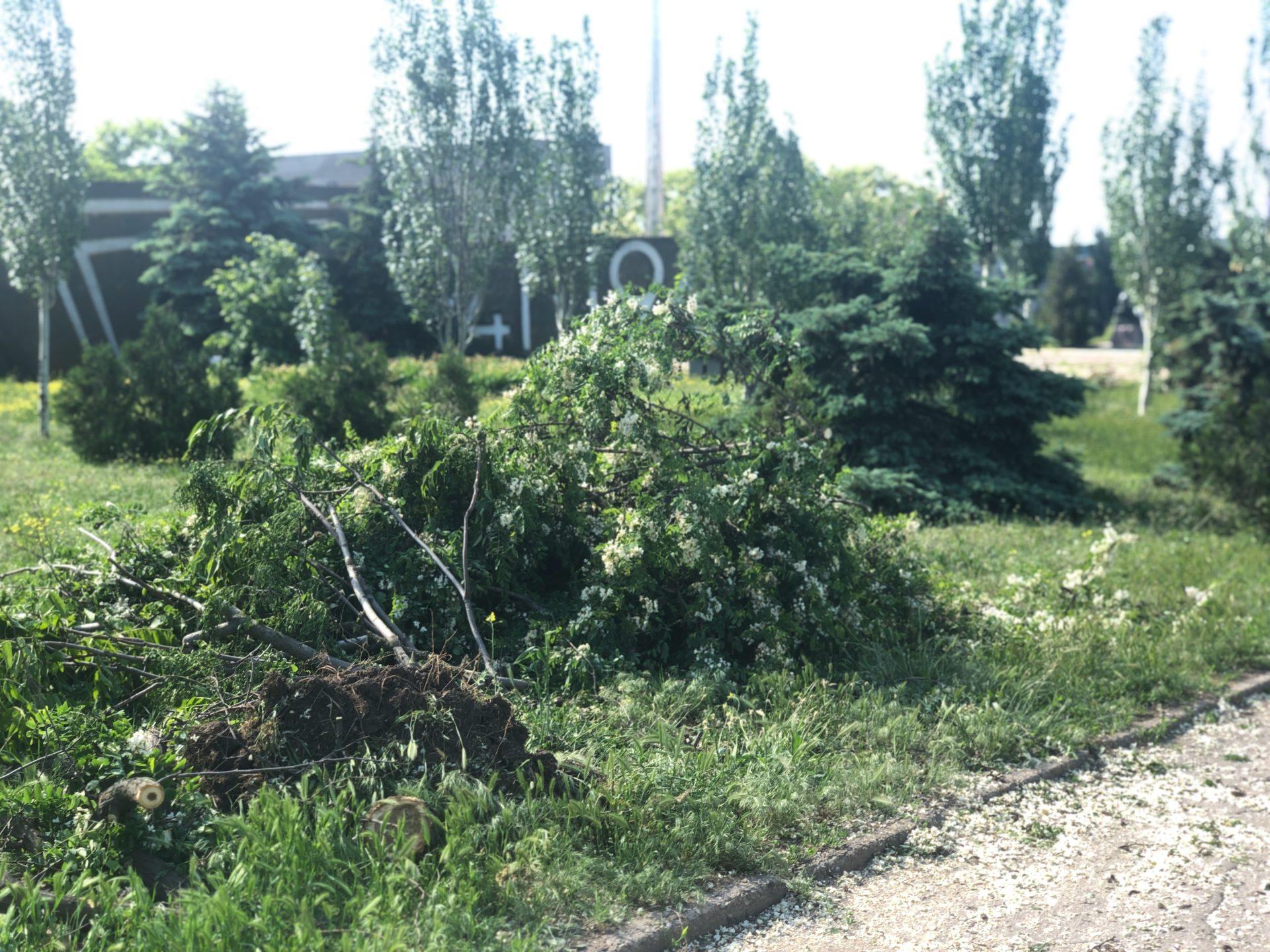 Непогода в Бердянске: смерч и поваленные деревья (видео)