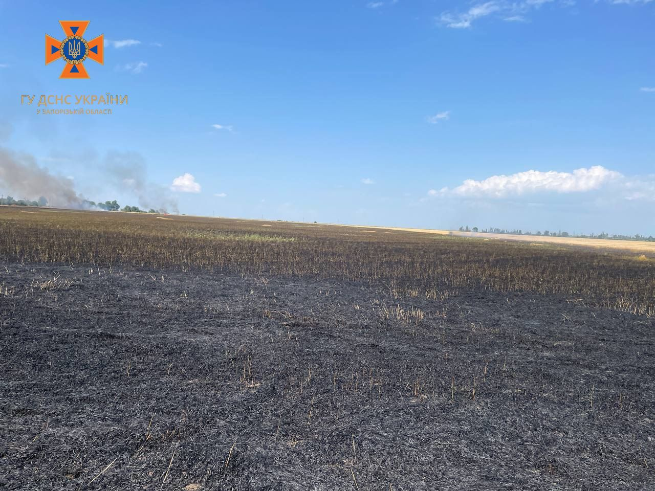 У Запорізькій області сталося 4 пожежі на полях з пшеницею (Фото)