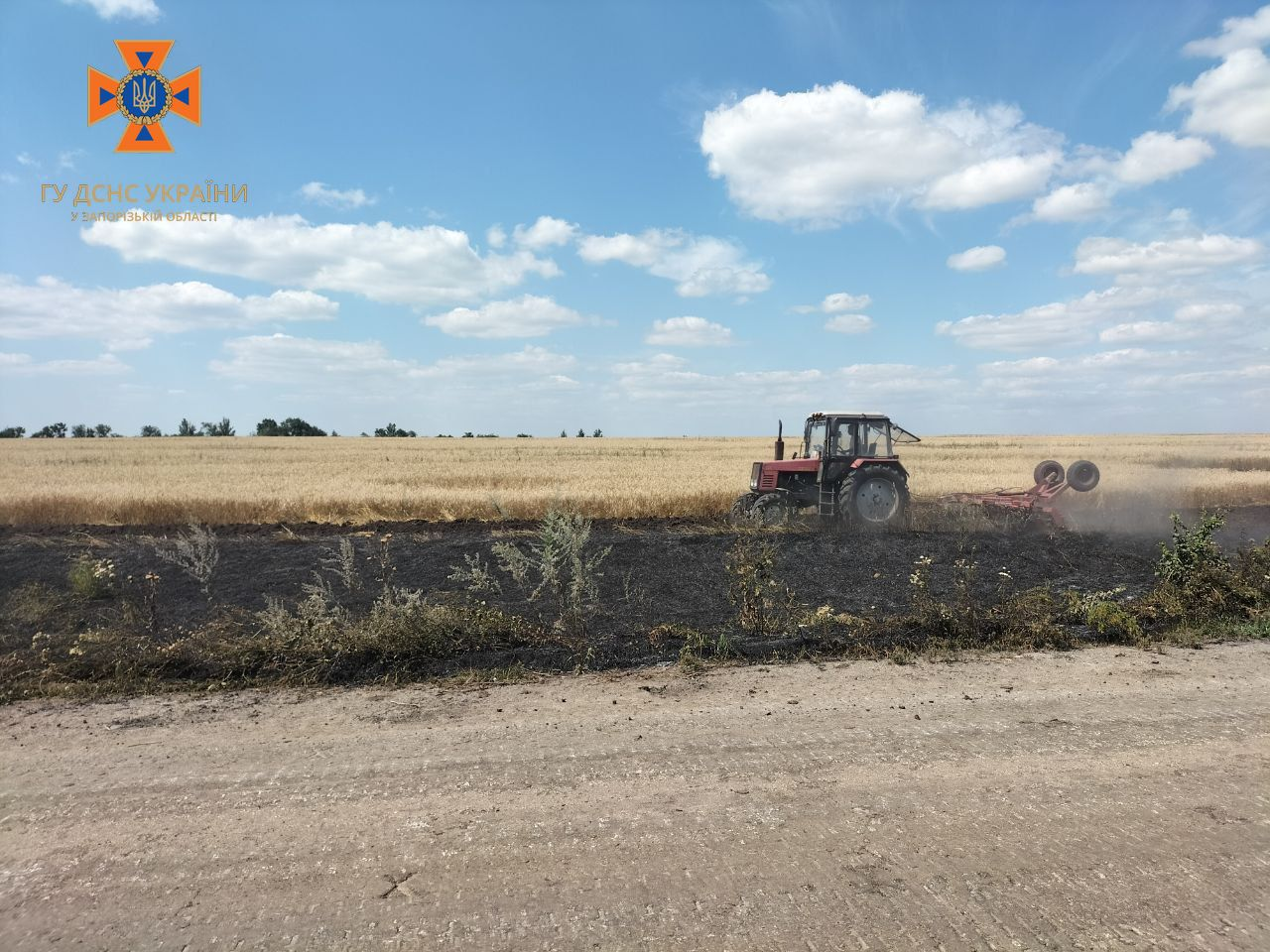 У Запорізькій області внаслідок обстрілів виникла пожежа на пшеничному полі (Фото)