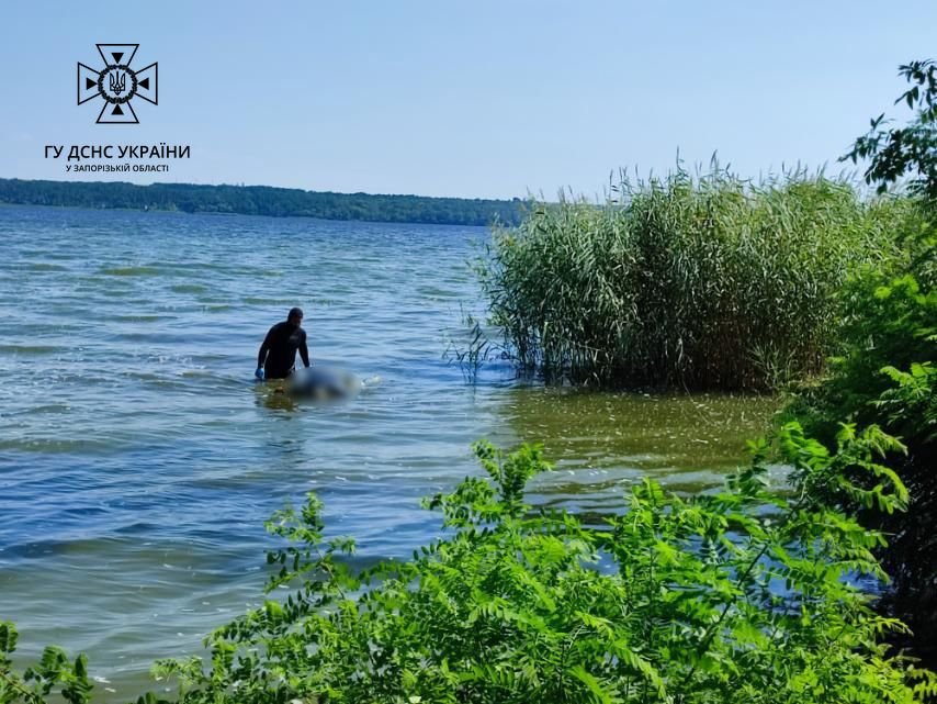 У Запорізькому районі було виявлено тіло рибалки