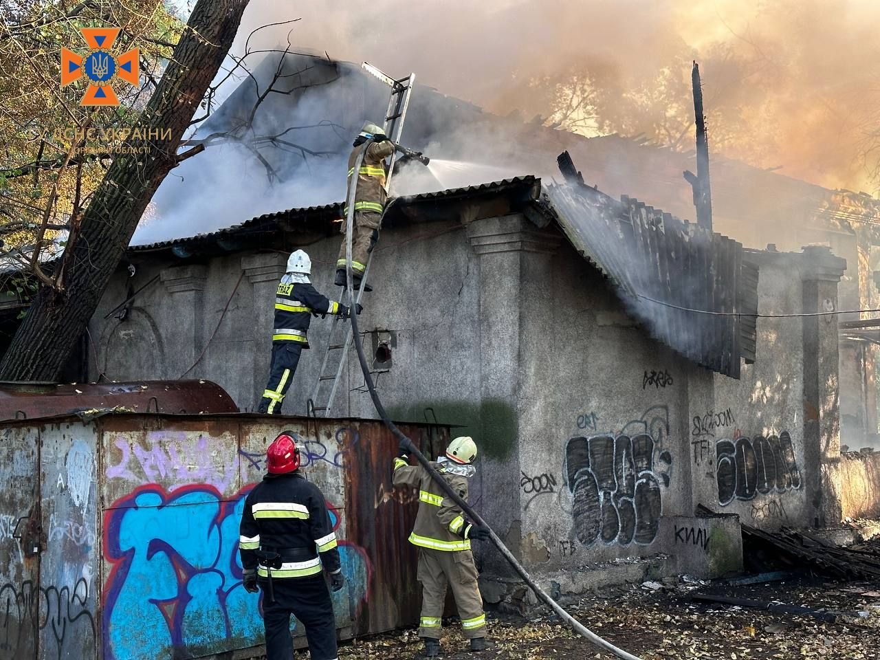 У Запоріжжі рятувальники показали наслідки пожежі в парку «Дубовий Гай»